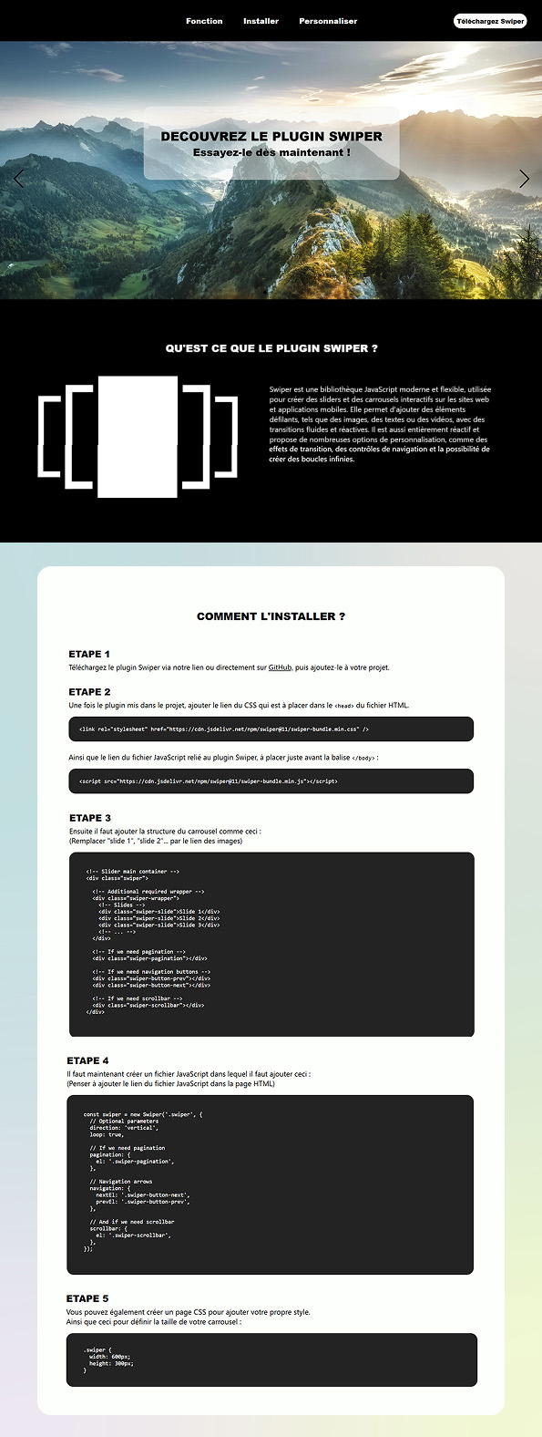 image du site Plugin